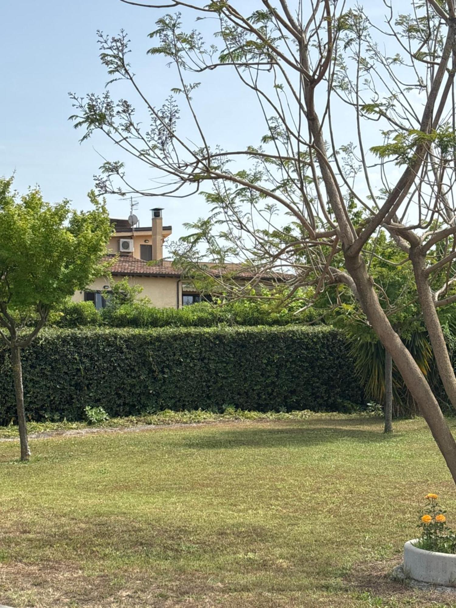 Villa Laregina Grisolia Kültér fotó